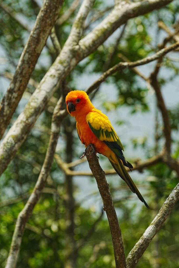 VV2 (Vivid2) Singapore – jonpoon.jpg (5)