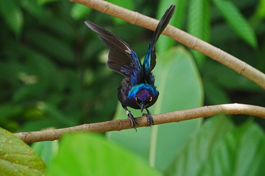 VV2 (Vivid2) Singapore – jonpoon.jpg (5)